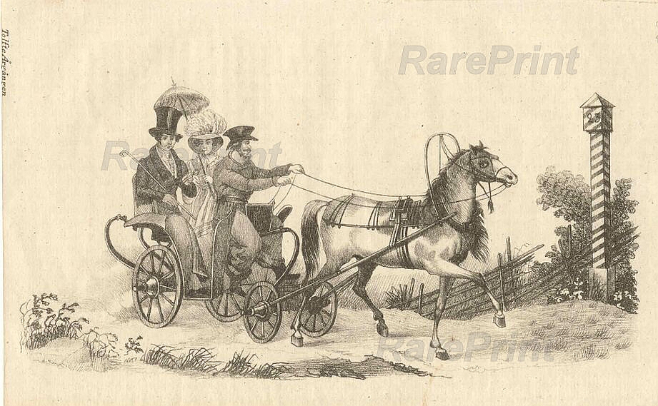 Types of Russian wagons, droshky