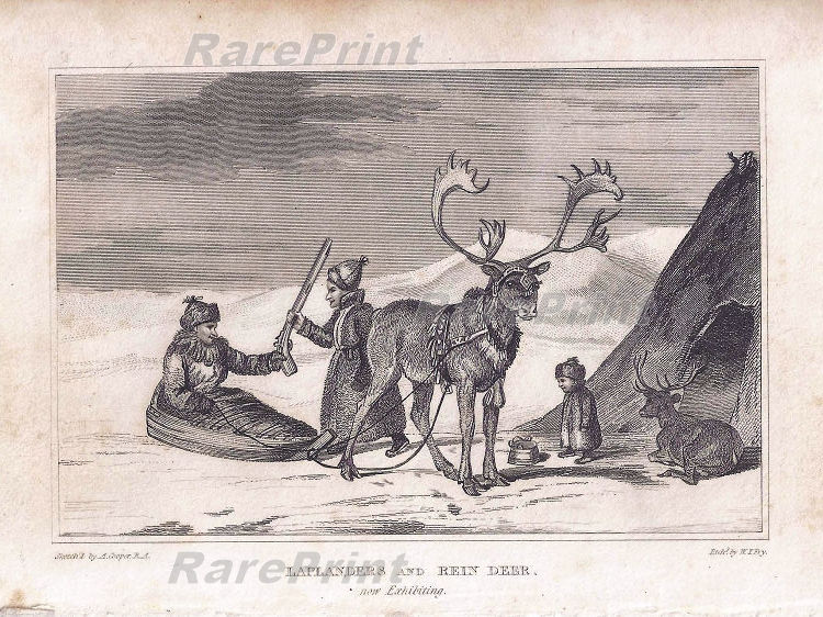 Laplanders — engraving — &nbsp; "Laplanders and Rein deer". &nbsp; The engraving shows a reindeer harnessed to a sleigh and a Sami family in...
