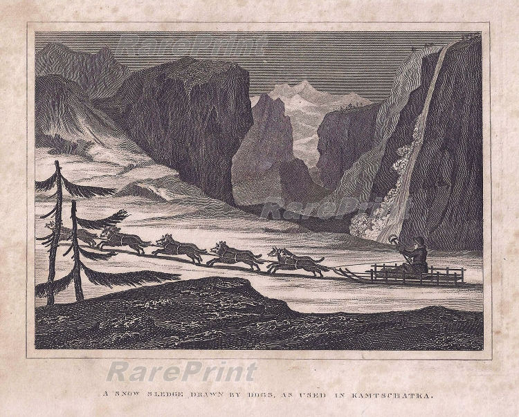 Snow Sledge — engraving — &nbsp; "A Snow Sledge drawn by dogs, as used&nbsp; in Kamtschatka". Technique, Material:&nbsp; copper engraving / P...