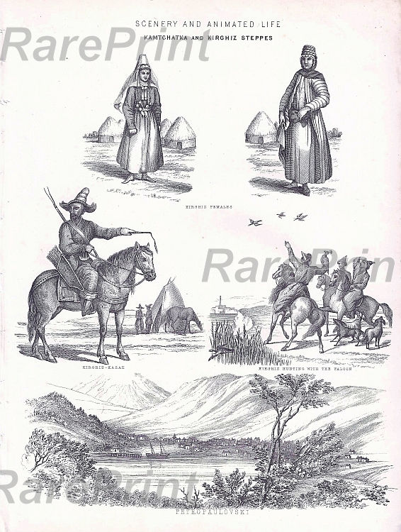 Kamtchatka and kirghiz steppes