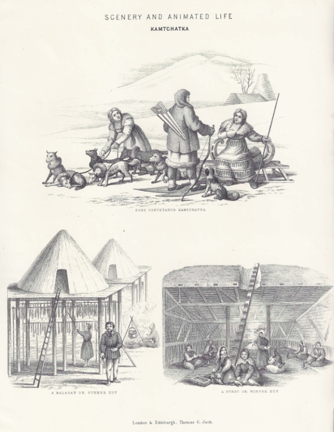 Kamtchatka. Scenery and animated life