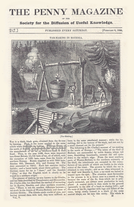 Tar-making in Bothnia