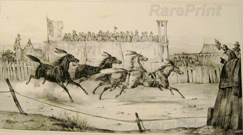 Courses de chevaux en liberte, dites bareert