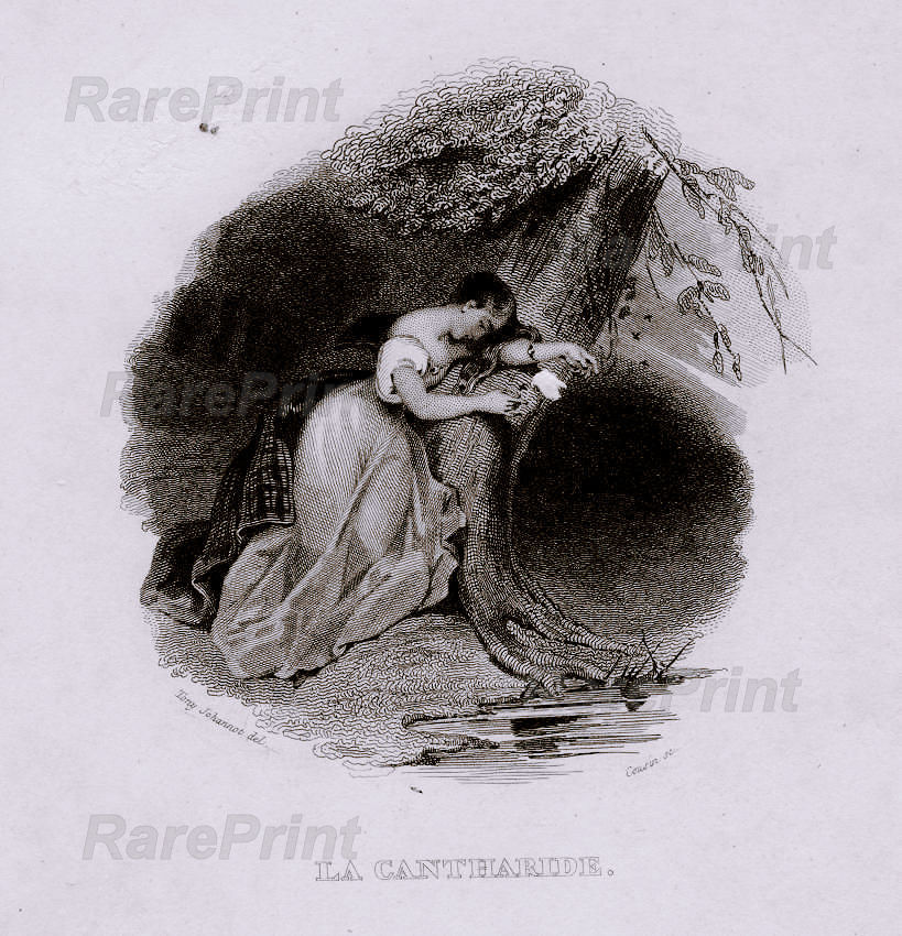 La cantharide — engraving — "La cantharide" &nbsp; Technique, Material:&nbsp;Steel engraving / Paper Artist, Engraver: Tony Johannot / Charles ...